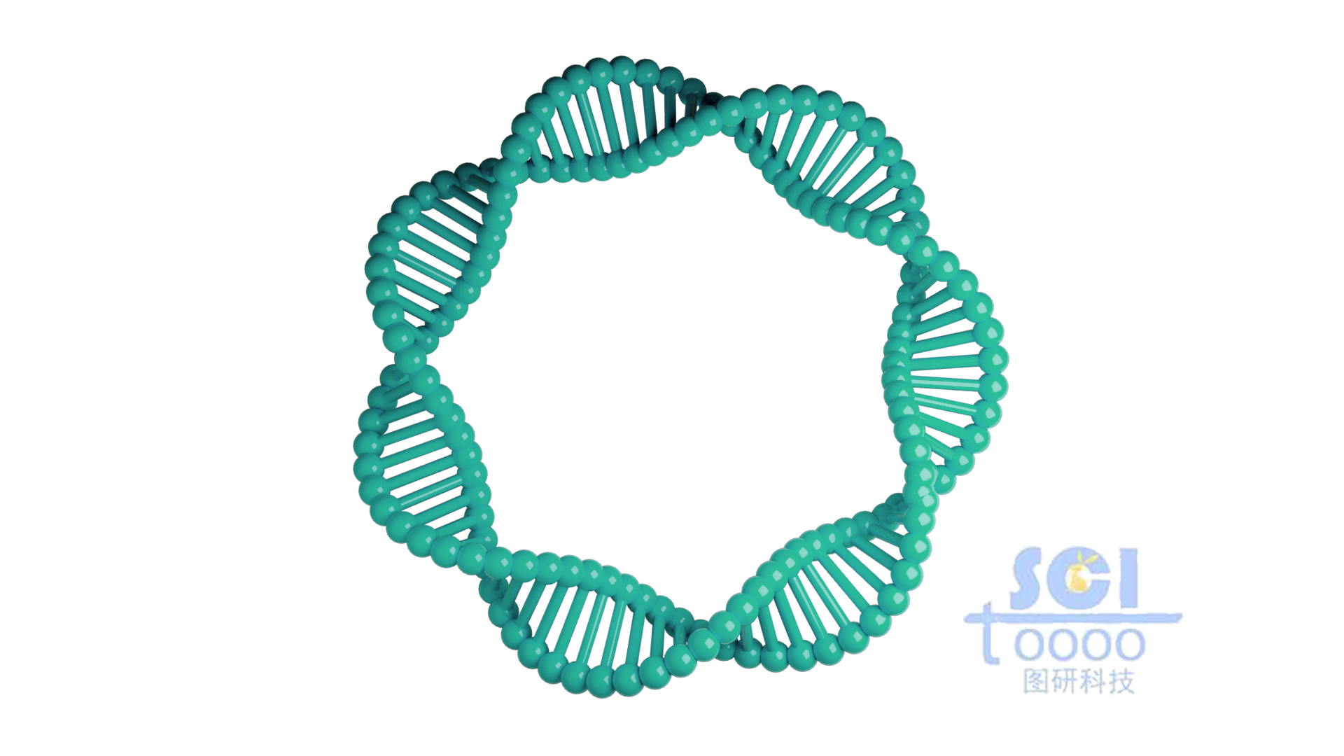 質(zhì)粒DNA