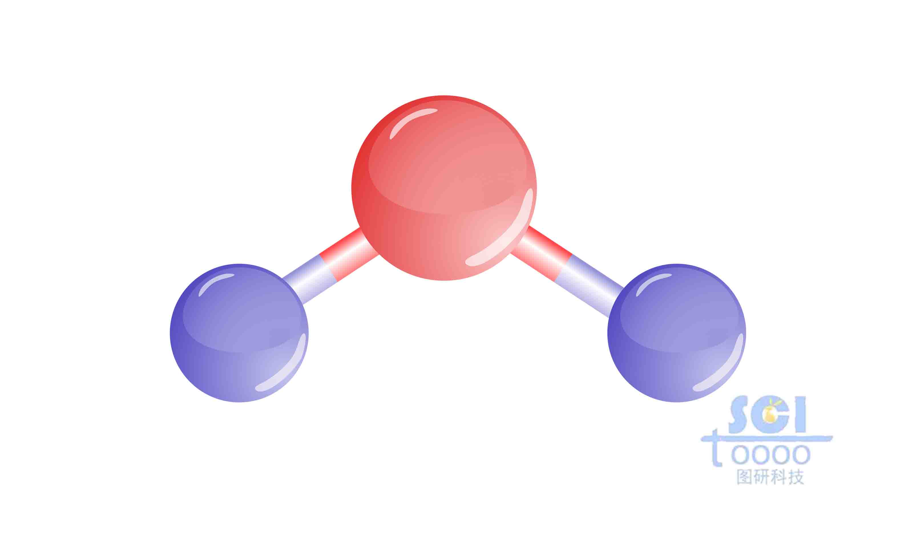分子結構