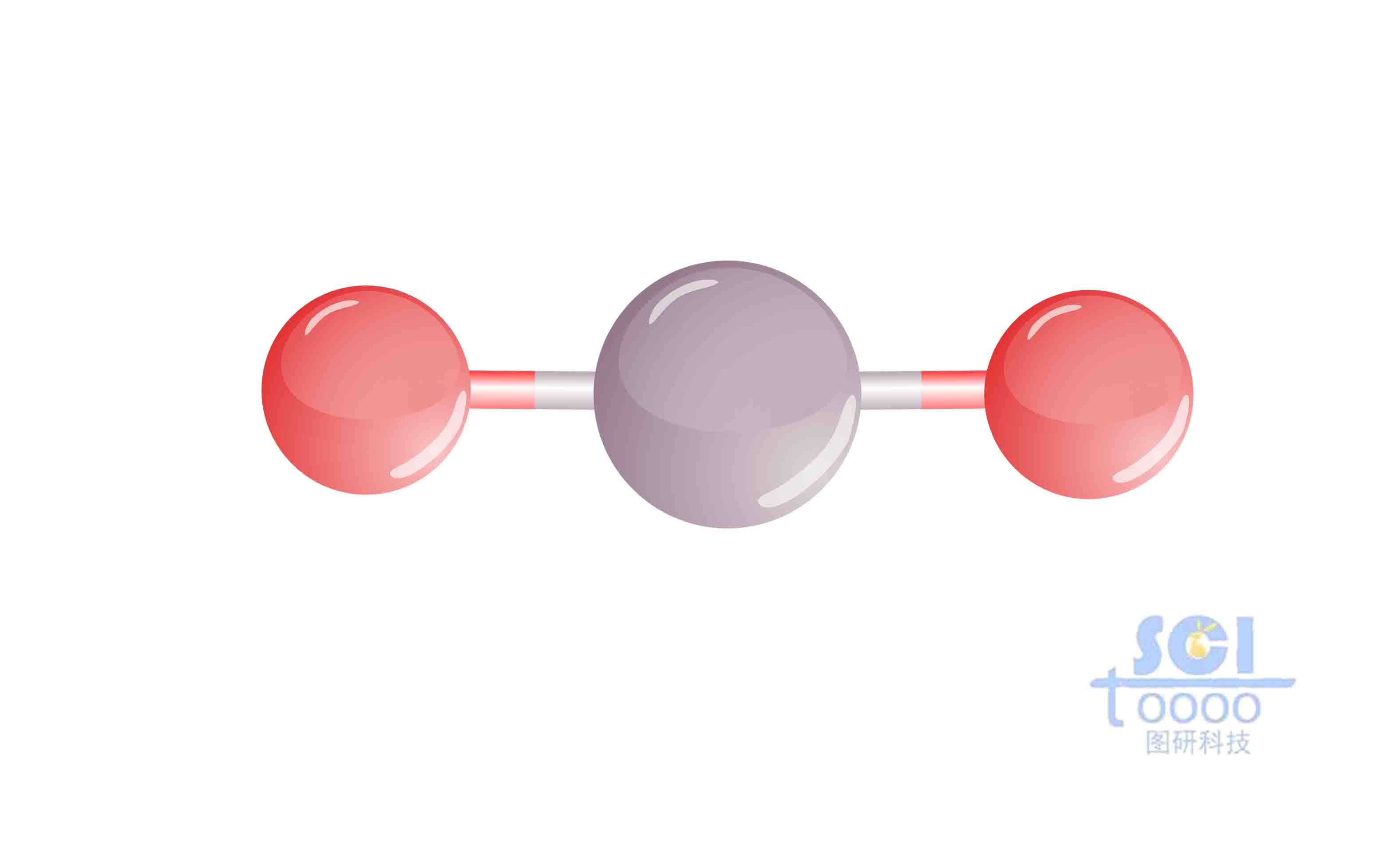 分子結構