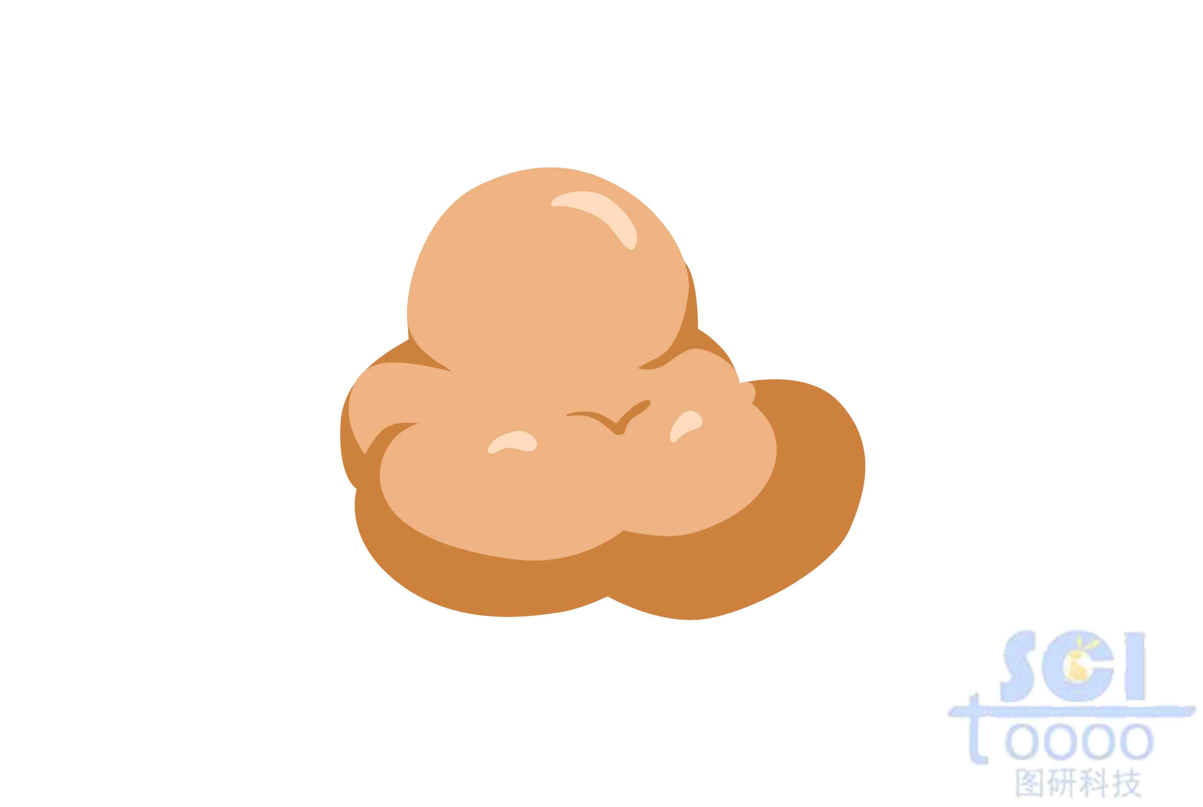 活化誘導的胞苷脫氨酶