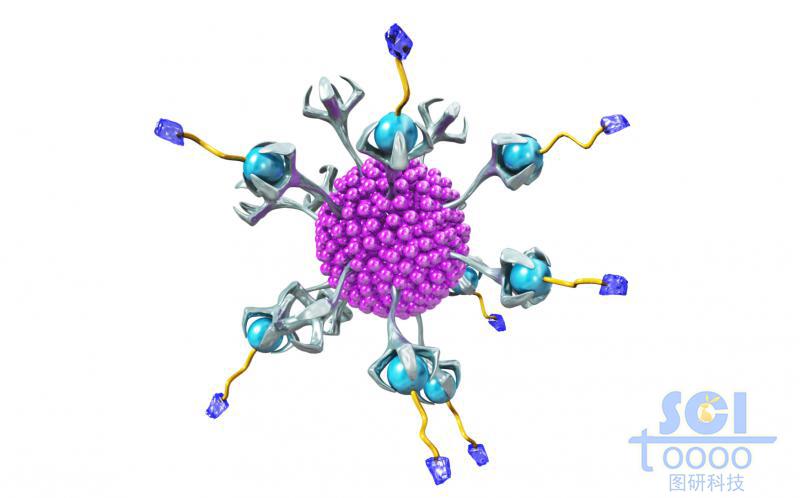 表面嵌合高分子鏈端/納米藥物的納米球