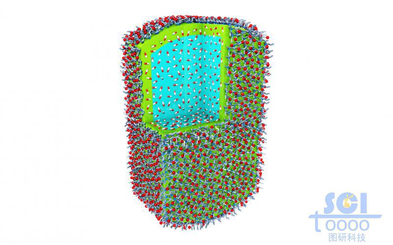 八分之一切口的內(nèi)嵌小分子藥物的高分子聚合體外層分部小分子基團基團