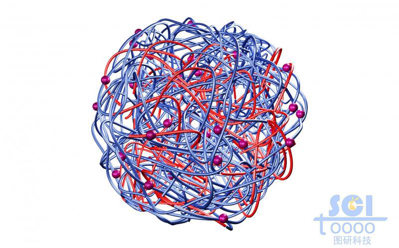 高分子鏈段交聯纏繞形成的籠狀結構內嵌吸附納米藥物