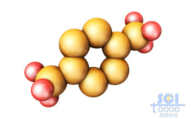 分子模式圖