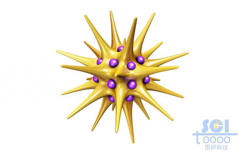 鑲嵌小分子基團(tuán)的金納米星