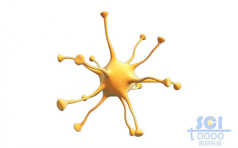 神經元細胞單體