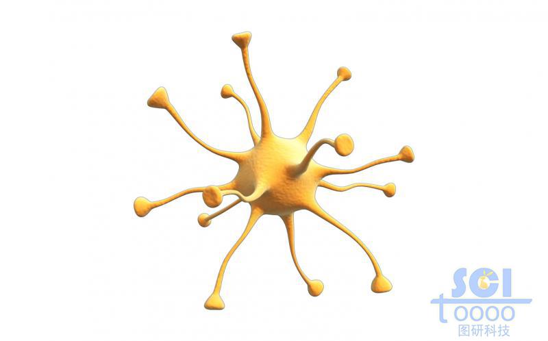 神經元細胞單體