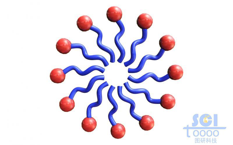排成圓環的高分子鏈段示意結構