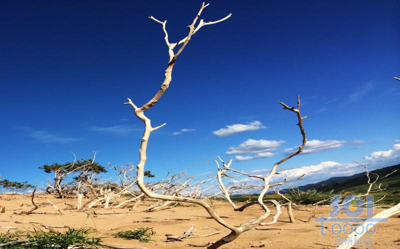 沙天地 藍(lán)天