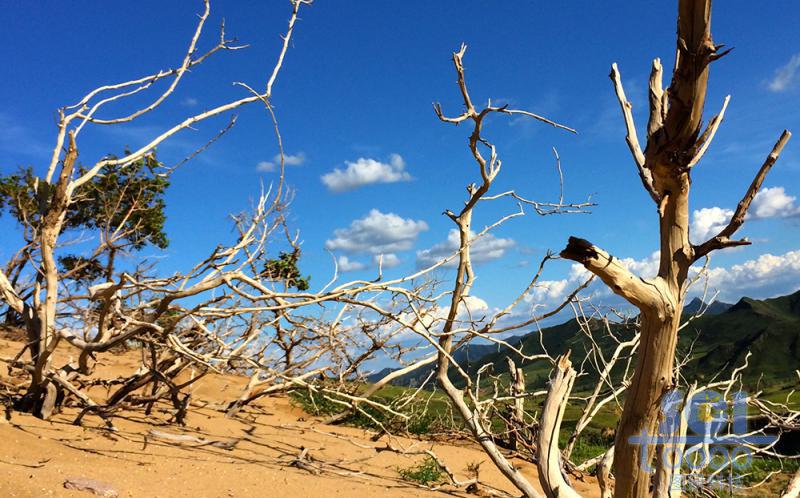 沙天地 藍(lán)天
