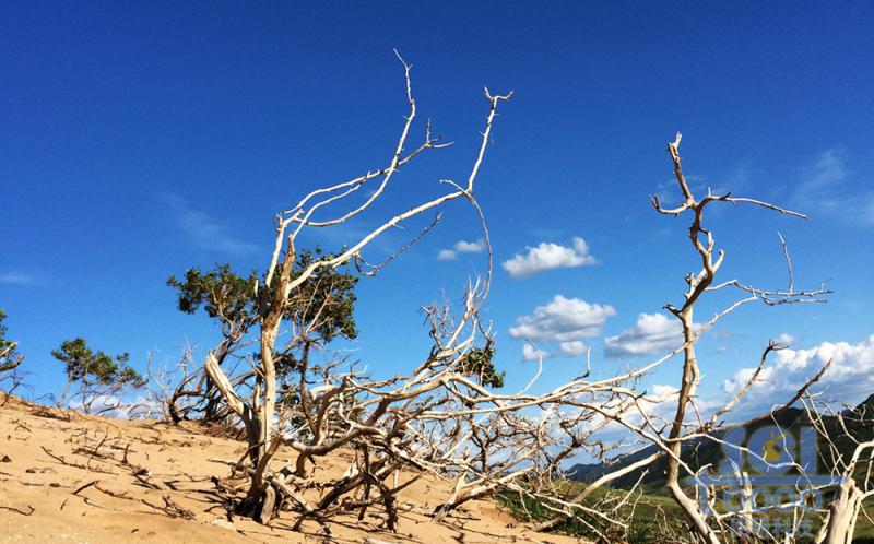 沙天地 藍(lán)天