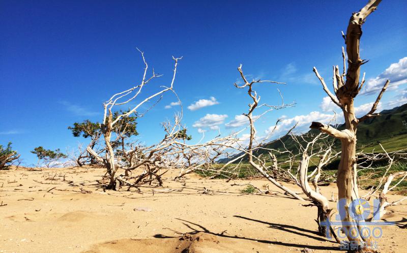 沙天地 藍(lán)天