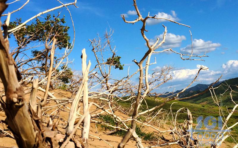 沙天地 藍(lán)天