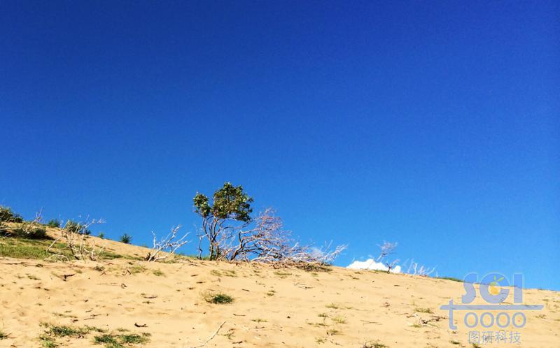 沙天地 藍(lán)天