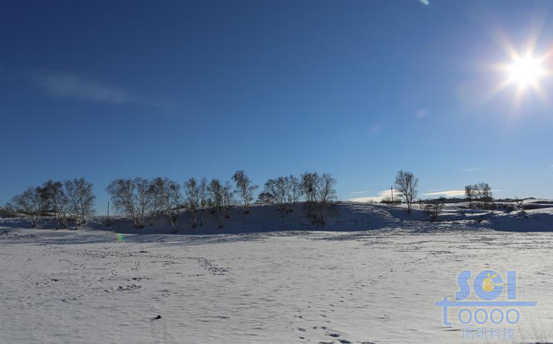 藍(lán)天雪地