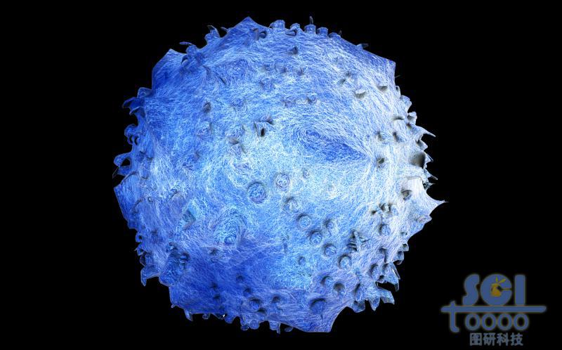 表面凹凸不平的巨噬細胞